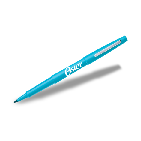 FLAIR-Sky-Blue-w-logo FLAIR-Sky-Blue-w-logo